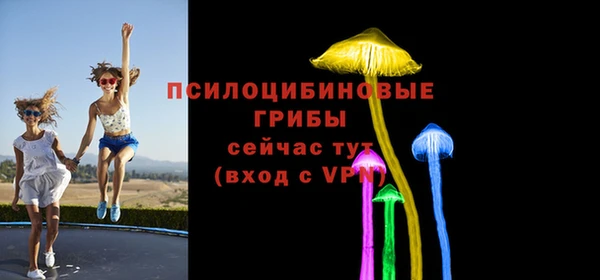 винт Алзамай